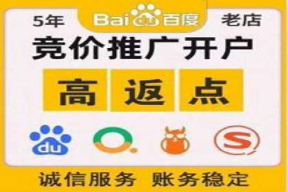 百度SEM推广案例解析：成功秘诀大公开